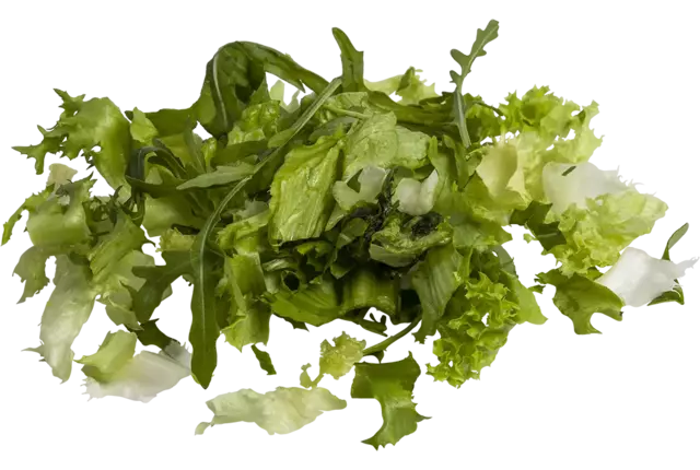 Groene slamix gemengd zak 500gr